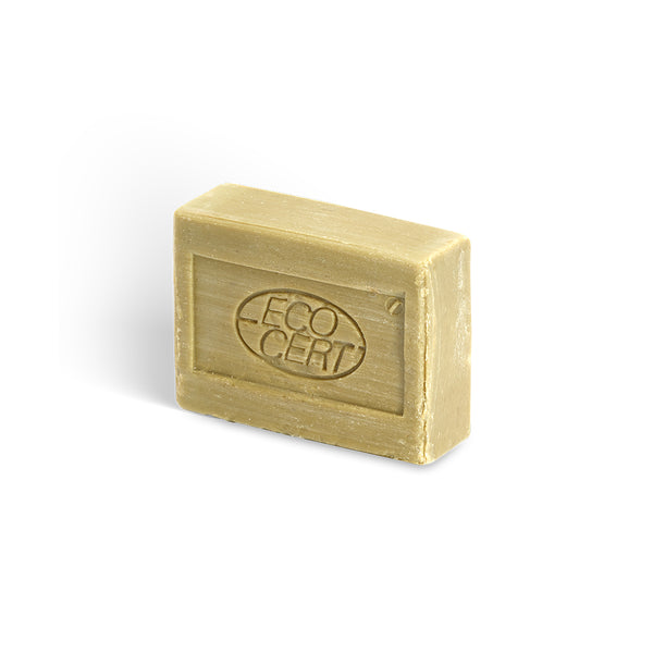 La Corvette ディッシュソープ アロエベラ 200g 固形タイプ ECOCERT認証 天然成分100% 手肌にやさしい フランス製