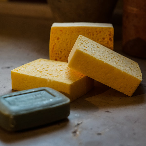 La Corvette ベジタブルスポンジ {{容量・入り数}} 植物性セルロース 環境にやさしい エコスポンジ フランス製