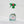 4in1除菌クリーナー ユーカリプタス 500mL